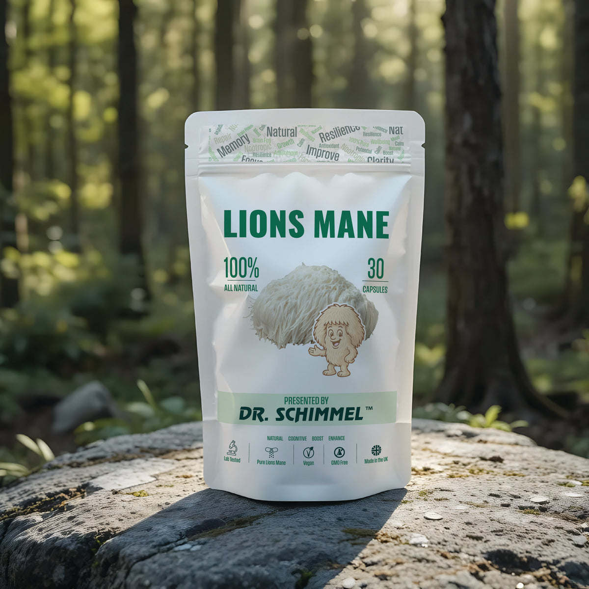 Packaging of Lions Mane mushroom capsules by Dr. Schimmel on a rock with a forest background
